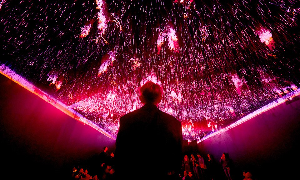 Как найти кракен шоп