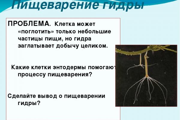 Kra40.cc Вход на сайт главная страница