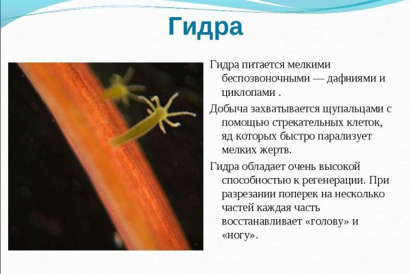 Кракен наркоплощадка