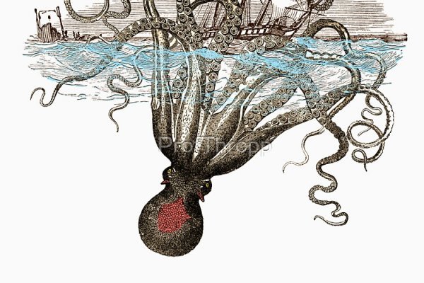 Kraken даркнет рынок ссылка