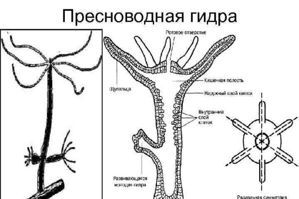 Кракен в россии наркотик