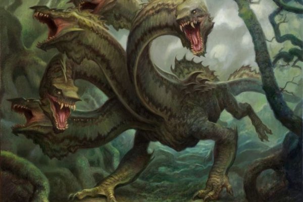 Kraken dark net