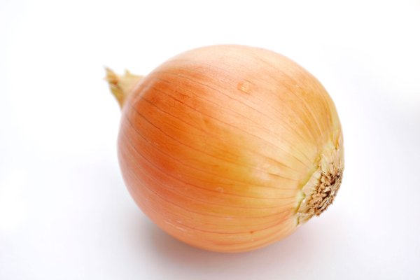 Kraken onion link