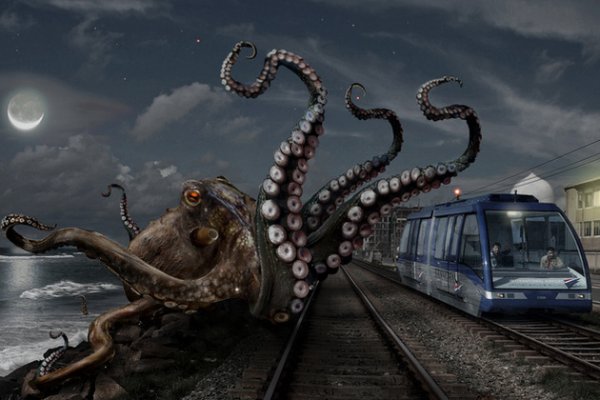 Kraken актуальное