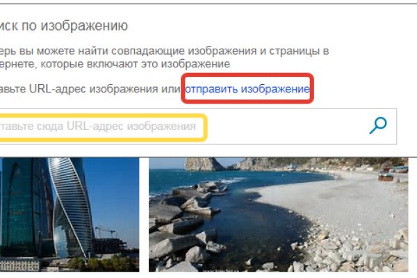 Какая ссылка у кракена