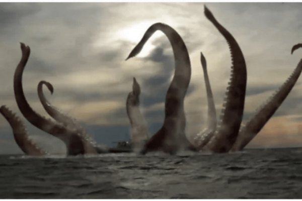 Kraken 12 at