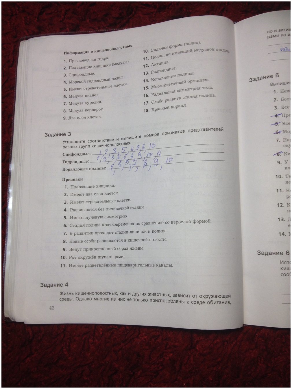 Не могу зайти на сайт кракен